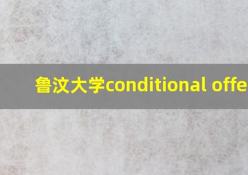 鲁汶大学conditional offer